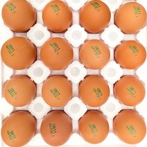 계란20구 가격비교 구매