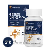 관절연골엔 엠에스엠 2000 MSM 식이유황 무릎관절영양제, 120정, 2박스