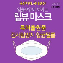 [MB필터사용]특허출원 입모양마스크/ LIPVIEW MASK/입술모양이 보이는 립뷰마스크/김서림방지 항균투명마스크/청각장애인/수화용/강의/대면 20매