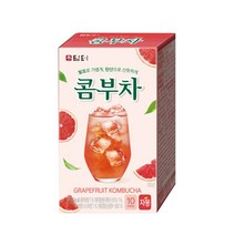 담터 콤부차 자몽 10T, 5g, 10개입, 1개