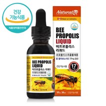 비프로폴리스 리퀴드 스포이드 액상 30ml 구강 면역기능 강화 항균작용 항산화 영양제 플라보노이드 17ml 프로폴리스 추출물 어린이 청소년 수험생 남성 여성 직장인 부모님 선물, 1병
