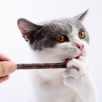 고양이 이빨 관리 나무스틱 장난감 고양이껌 10P