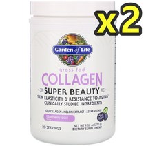 가든오브라이프 그래스 패드 콜라겐 블루베리 아사이 270g 2개
