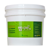 헵시바 화이트(W) 베란다 창고 다용도실 습도조절 항곰팡이 페인트 4Kg 10Kg, 헵시바W(화이트) 10Kg