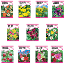 꽃씨모음 한련화 금계국 해바라기 나팔꽃 맨드라미 채송화 봉선화 꽃양귀비 [23년포장]