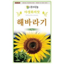 다농 해바라기 씨앗 4g 야생화 씨앗