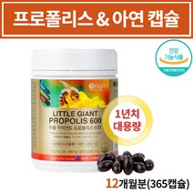 먹는 뉴질랜드 대용량 비 벌 프로 폴리 폴리스 추출물 아연 캡슐 알약 모양 항산화음식 면역력 면연력 높이는 식품 플라 폴라 보노이드