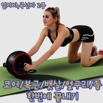건강윤선생 남자 여자 뱃살 복근 전신 코어 스트레칭 운동 기구 복근운동기구, AB휠미니프로슬라이드(곡선바)