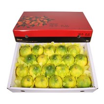 삼다몰 제주 황금향 3kg 5kg, 1박스, 황금향(특대) 5kg(19~23과)