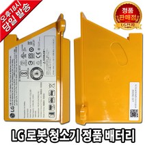 LG전자 로보킹 로봇청소기 정품 배터리 R76CIM/R76GIM, 1개
