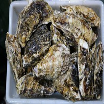 고흥 석굴 각굴 석화 특산품 3kg 5kg 10kg 당일조업 당일발송