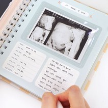 초음파앨범 토끼띠 산모수첩 꾸미기 태아일기 임신 축하선물 다이어리, 버드