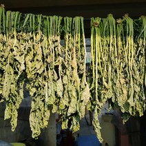 맛집사 유기농 무청 시래기 우거지 무우청 건시래기 건나물 말린 무우시래기 100g 500g, 유기농 시래기 100g, 1개