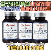 옆구리살 팔뚝살 내장지방 복부지방 술배 다이어트 가르시니아 체지방감소 피하지방 비타민B 단기간다이어트 운동 뱃살빼는법 출산 후 늘어난뱃살 아랫배 윗배 똥배 옆구리살