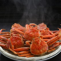 포항 구룡포 자숙 붉은대게 3kg, 가정용3kg (몸통 50% 다리 70%)