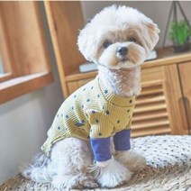 강아지옷 의류 레이어드 산책 패션 의상 도트 티셔츠, wltn406 머스타드 SM