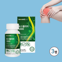 보스웰리아 보수엘리아 보스웰리아정 관절 연골 보스웰리아 관절연골보스웰리아 보수웰리아 보스웰리스 보수엘리아캡슐 보스엘리아정 보스웰리아효능 관절연골엔 보스웰리아 보스웰리아 추천, 3병