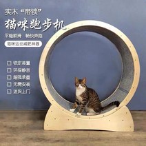 챗바퀴 다이어트 반려동물 골판지 인테리어 공간박스 놀이 바퀴 고양이 챗바퀴 달리기 물레방아, 짙은 회색
