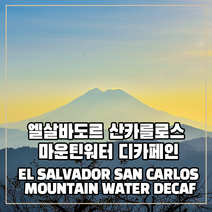 (커피생두) 314 엘살바도르 산카를로스 마운틴워터 디카페인 500g