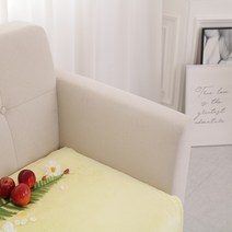 강아지 고양이 담요 인형만들기 원단 EF극세사 짧은털 단모 벨보아, 5mm 브라이트옐로우