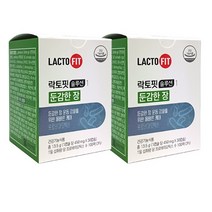 종근당건강 락토핏 솔루션1 둔감한장 450ml*30캡슐 장건강 유산균 2개월