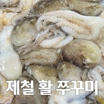 서해안에서 잡은 싱싱한 활 쭈꾸미 1kg, 3kg