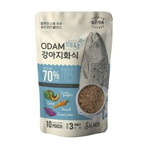 오담 화식 사료 연어 1kg 높은생고기함유율 습식사료100g소분