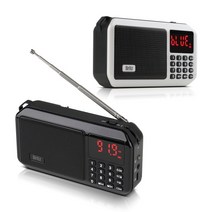 Britz 브리츠 BZ-LV980 휴대용 블루투스 라디오 MP3 스피커, BZ-LV980 블랙