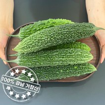 아삭아삭 맛있는 국내산 햇 생여주 비터멜론, 생여주 특품 1kg, 1개
