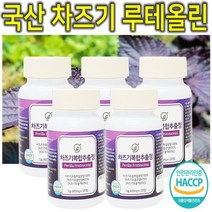 프리미엄 고농축 국내산 차즈기 차조기 차지기 차주기 차자기 붉은깻잎 보라색깻잎 루테올린 루테인 자소엽 자엽소 차 잎 캡슐 환 정 분말 가루 파우더 추출물 효능 효과 추천 5통