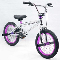 묘기 자전거 BMX 액션 스포츠 입문용 스턴트 16인치, 블루 레드