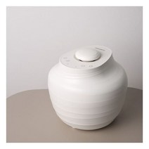 스팀보이 카본 온수매트 ST212 퀸