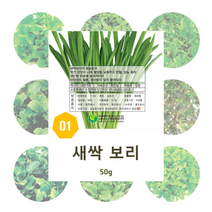 새싹 씨앗 20종 모음, 새싹 배추 500g
