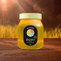 지리산 산청 천연 토종 아카시아꿀 2.4kg, 1개