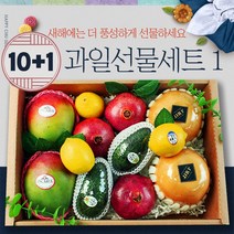 프리미엄 명절 혼합 과일선물세트 1호 설날 추석 선물 세트 과일 바구니