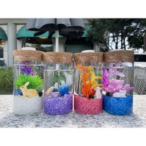 마리모키우기 국산 DIY 유리어항, 화이트, 조개, 초록