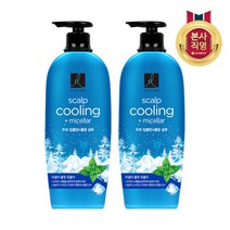 LG생활건강 엘라스틴 두피 딥클린 쿨링 샴푸 680ml x2개, 2개
