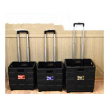 별빛 접이식 플라스틱 쇼핑카트 남궁민 손담비 아이유 마트 핸드카트, L