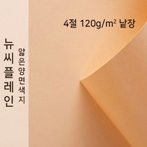 뉴씨플레인 종이문화 얇은 양면색지 120g 4절 낱장 1매 No.21 살구색, 1장
