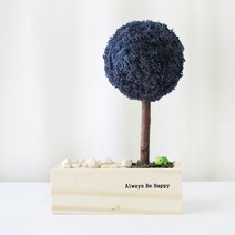 스칸디아모스 편백 나무 화분, 08_클래식블루