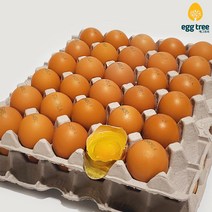 에그트리 생계란 농장직송 달걀, 60구(3120g이상), 대란