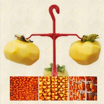 수제곶감 가을 곶감꼭지핀 곶감만들기 LDIY곶감 곶감걸이 곶감말리기, E꼭지핀 20P