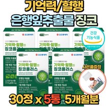 뇌 영양제 징코 기억력 혈행 은행잎추출물 30정 150mg 두뇌 건강 비타민 B1 B2 B6 아연 부모님 수험생 건강기능식품, 5통(5개월)