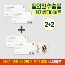 [건강기능식품/식약처인증] 리턴 투 다이어트 식물성 돌외잎주정추출분말 비타민 이중정 체지방감소 체지방감소 변비해소, 2+2BOX (12병)