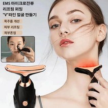 1+1피부 미용기기마사지 미용 기계 갈바닉얼굴마사지기 레이저미용기, 미경의
