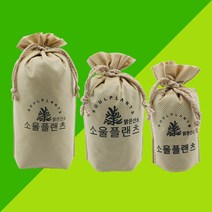 소울플랜츠 코르크 실내탈취제 본품, 150g, 1개