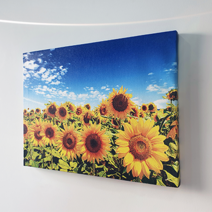 피노마켓 해바라기 캔버스 액자, 혼합색상