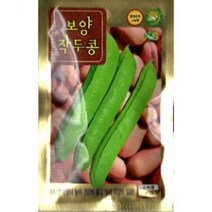 G 작두콩 보양 씨앗 10립