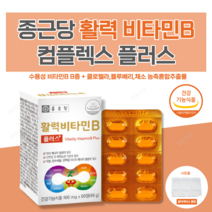 날송건강 종근당 비타민B 비군 B군 b1 b2 b6 b12 컴플렉스 영양제 알약 케이스 증정