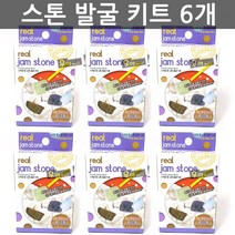 우야몰 리얼 잼 스톤 발굴 키트 6개 자연 과학 교구 놀이 화석